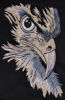 Poza cu Tricou Eagle